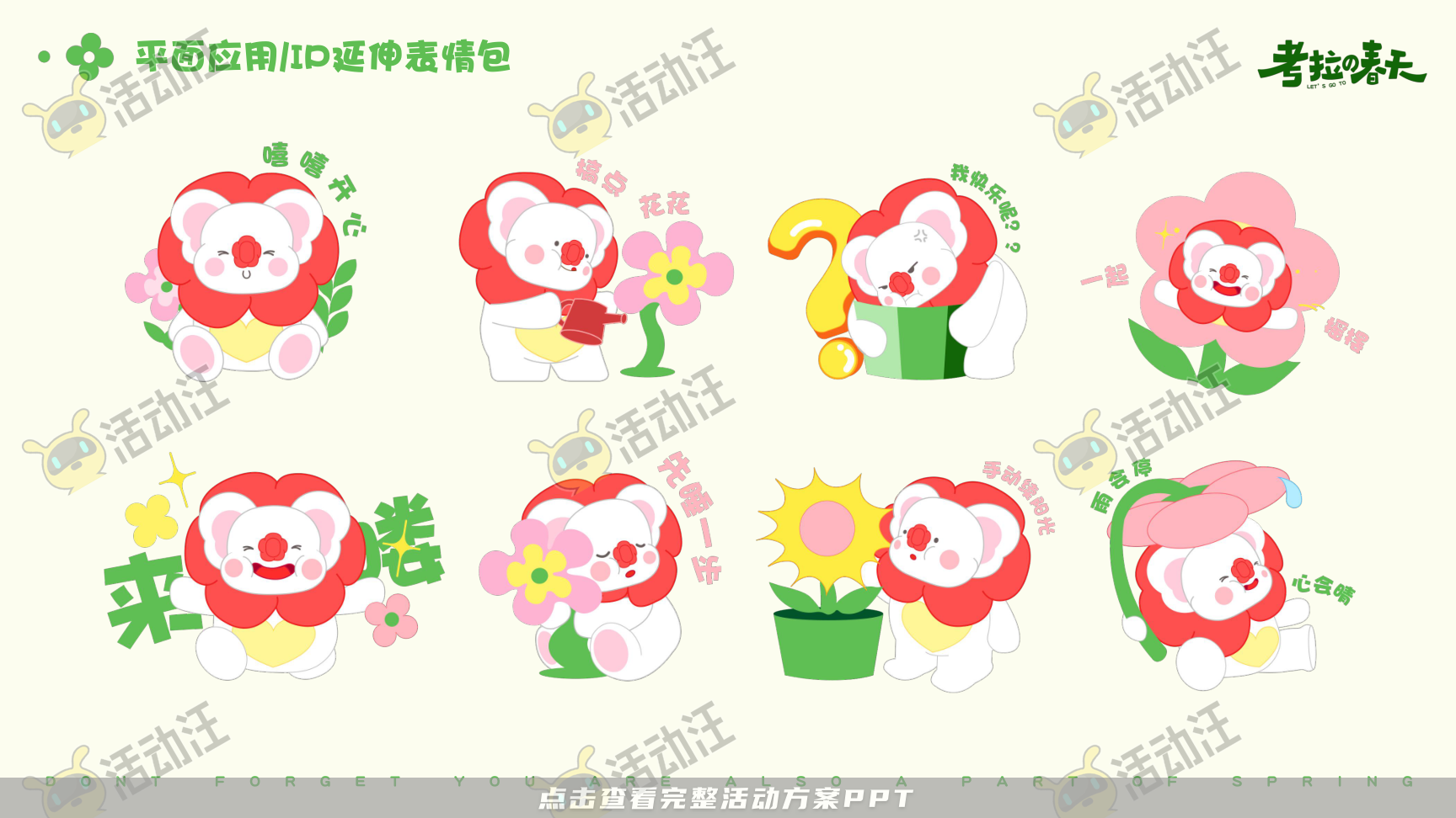 考拉的春天