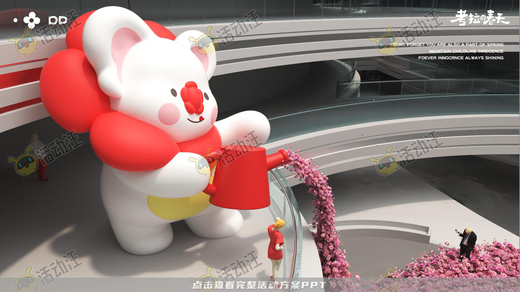 考拉的春天