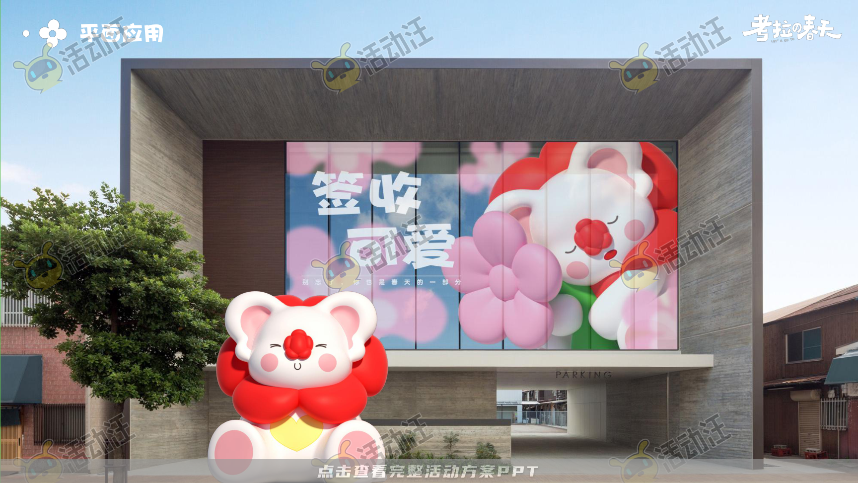 考拉的春天