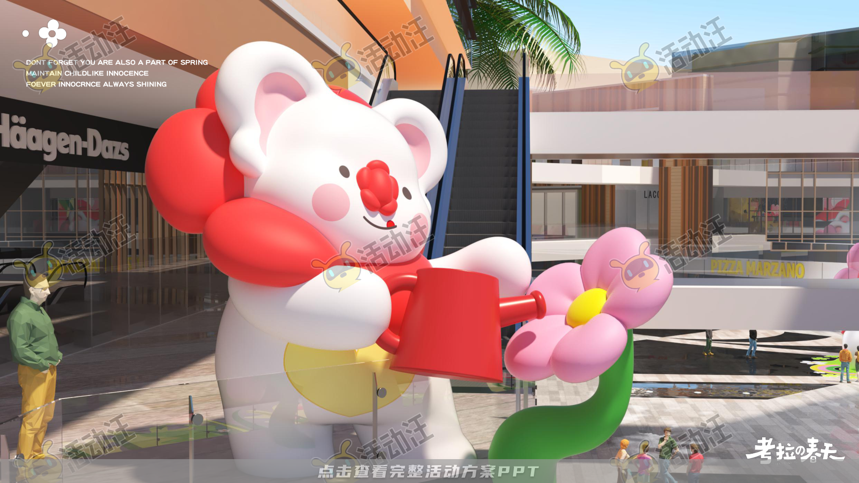 考拉的春天