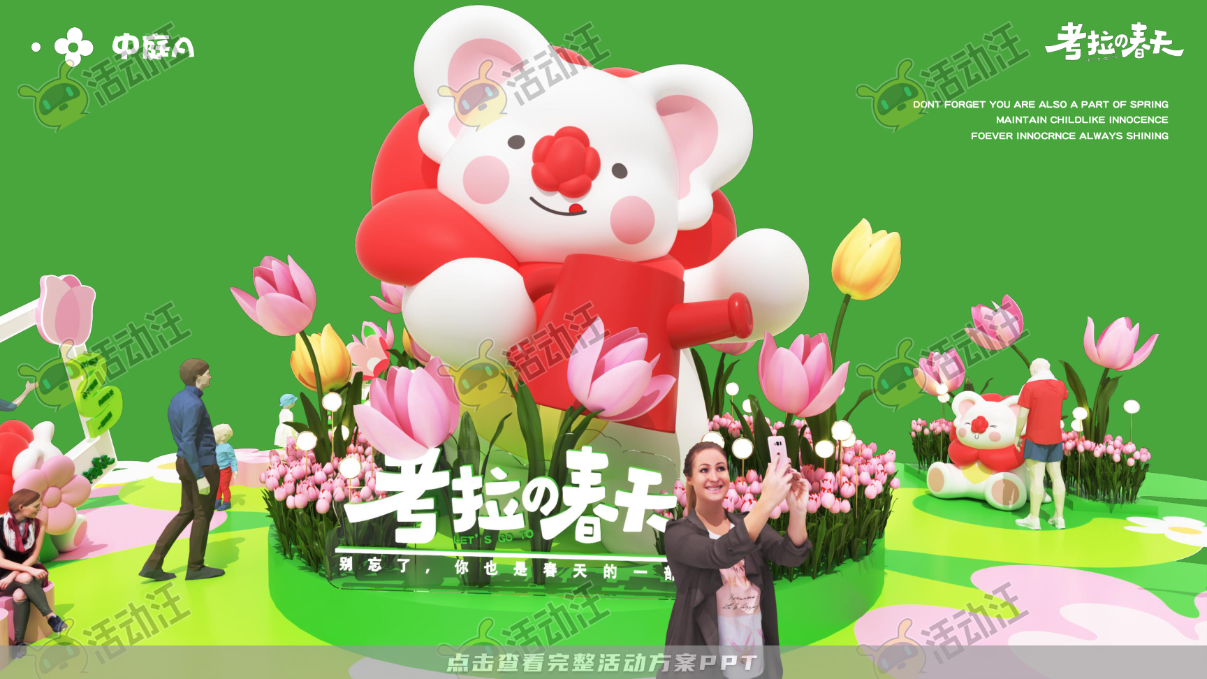 考拉的春天
