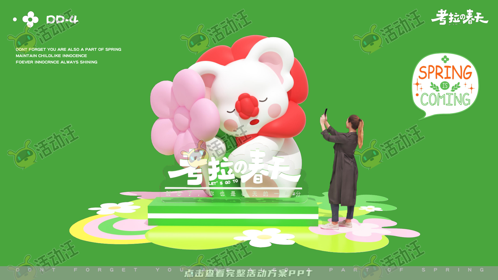 考拉的春天