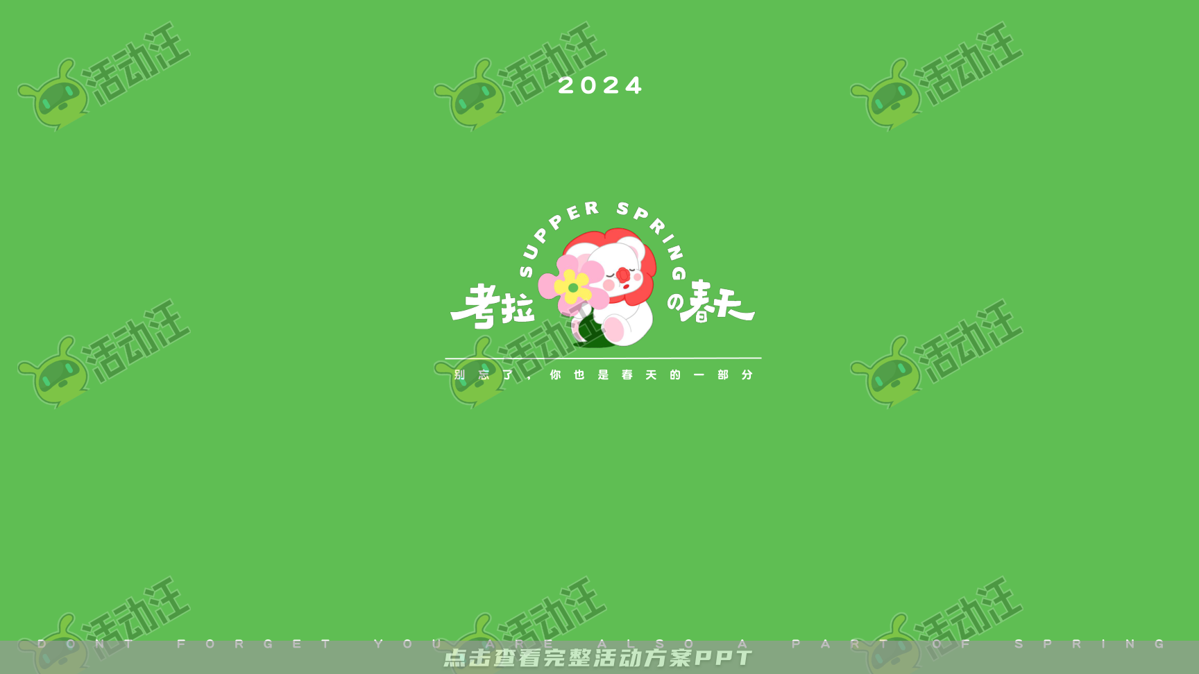 考拉的春天