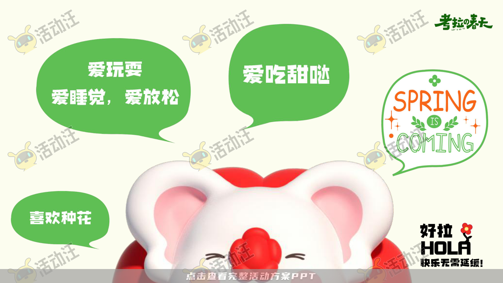 考拉的春天