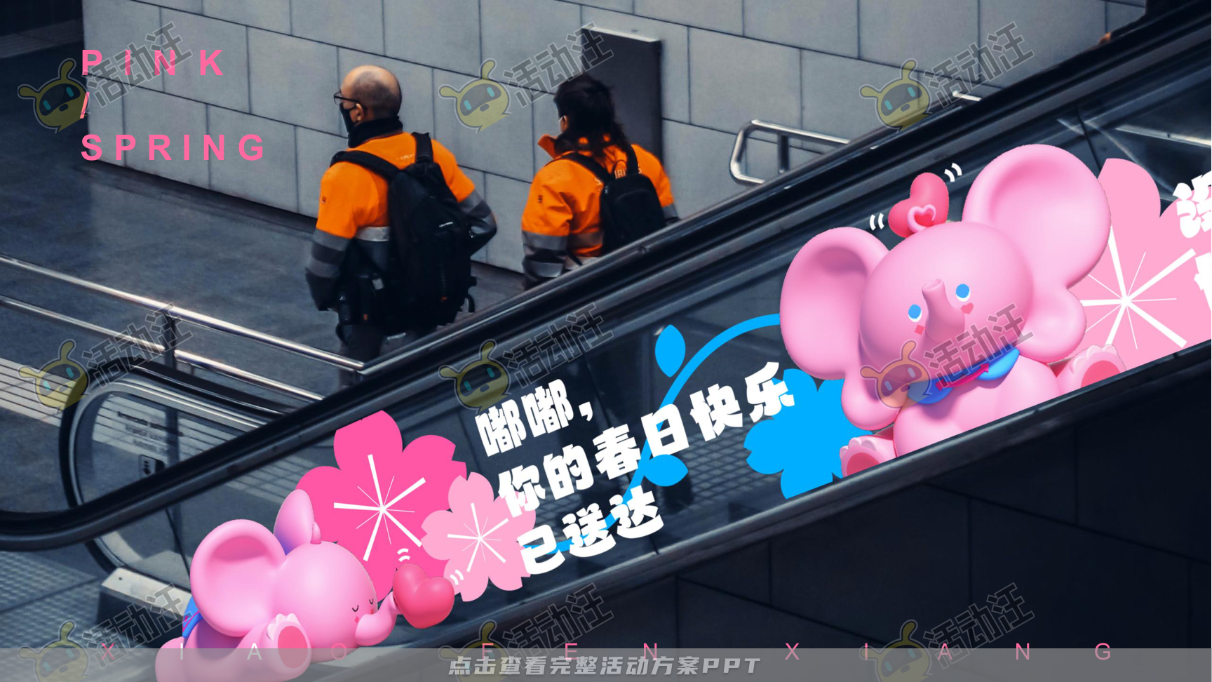 春粉计划-一起粉个春吧！