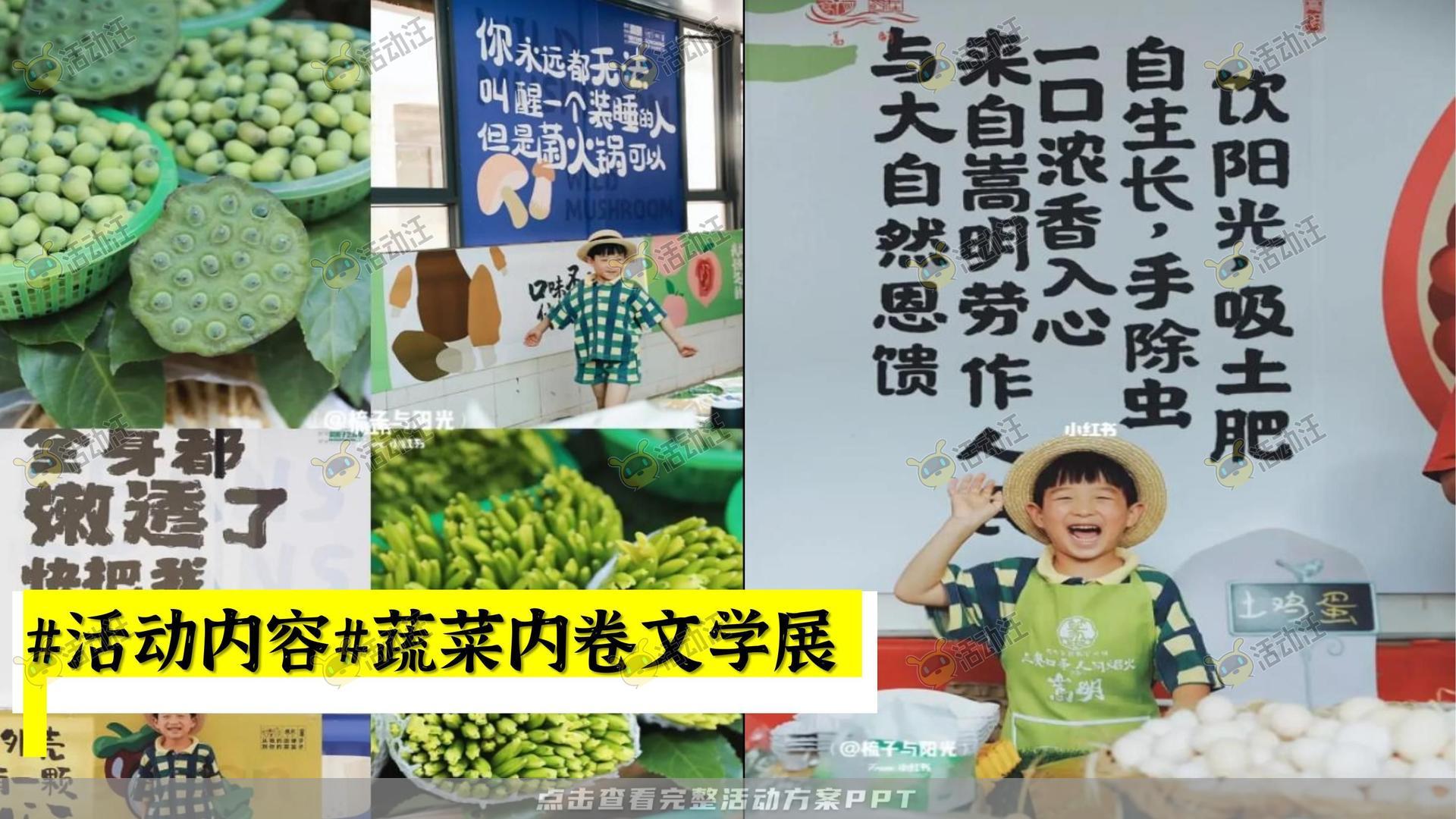 生活节活动策划方案