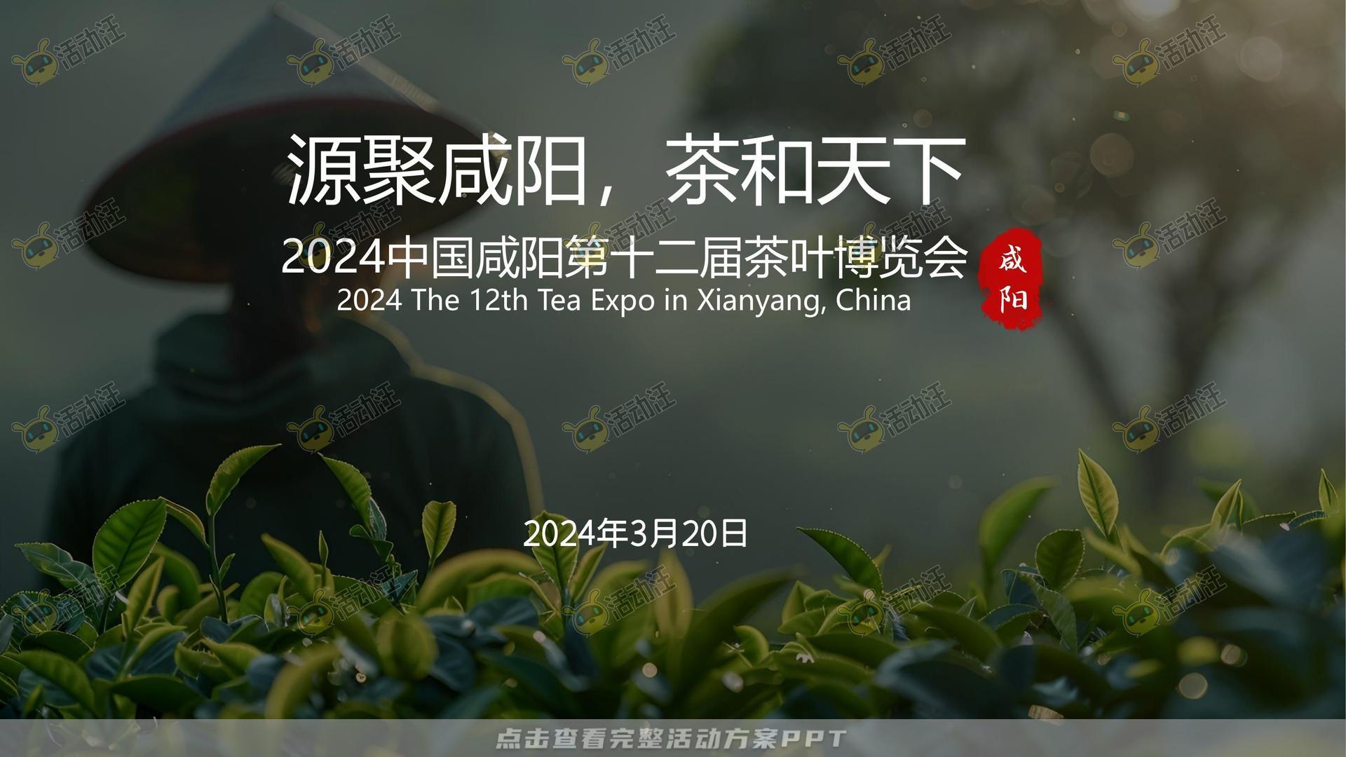 年度盛典活动策划方案