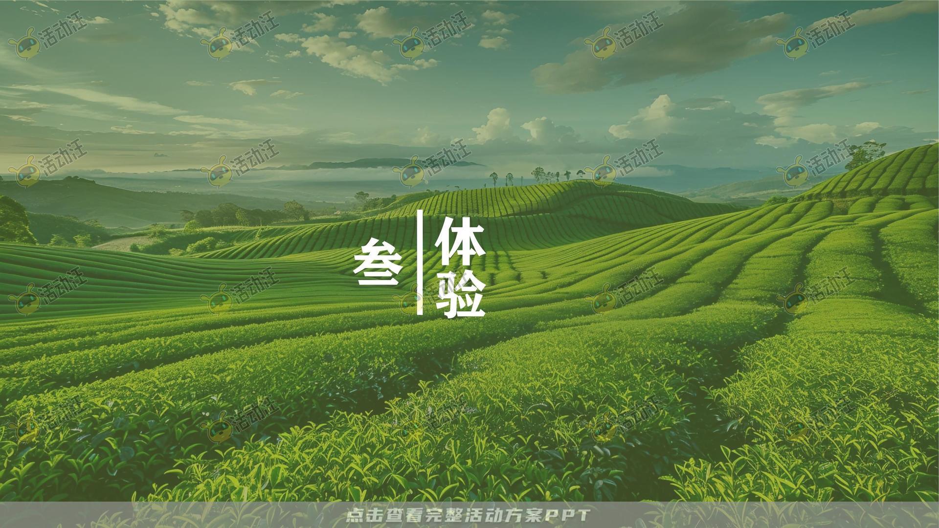 年度盛典活动策划方案