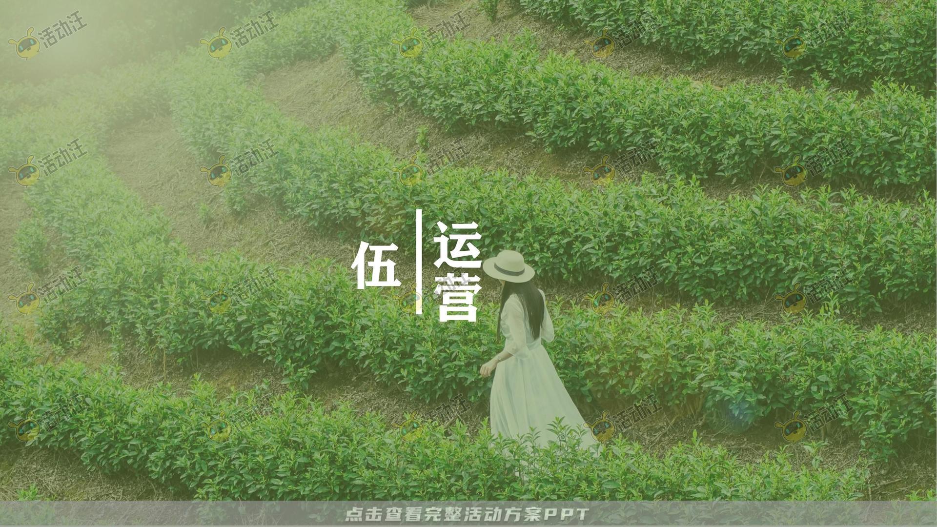 年度盛典活动策划方案
