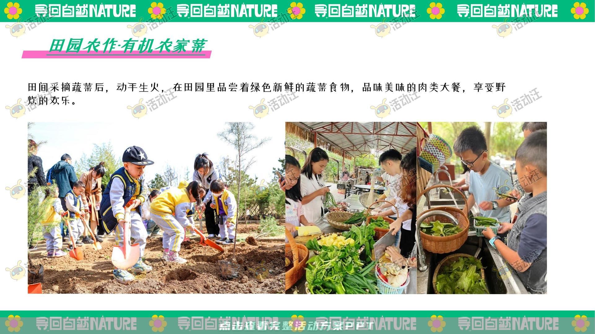 生活节活动策划方案