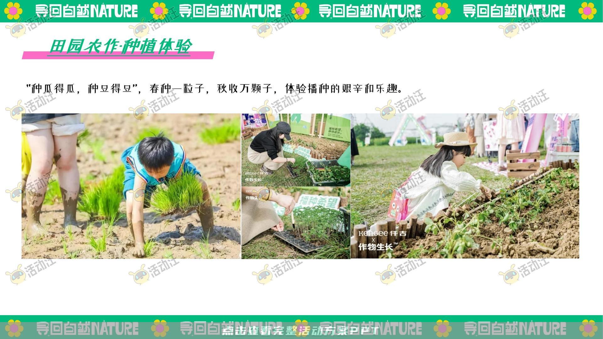 生活节活动策划方案