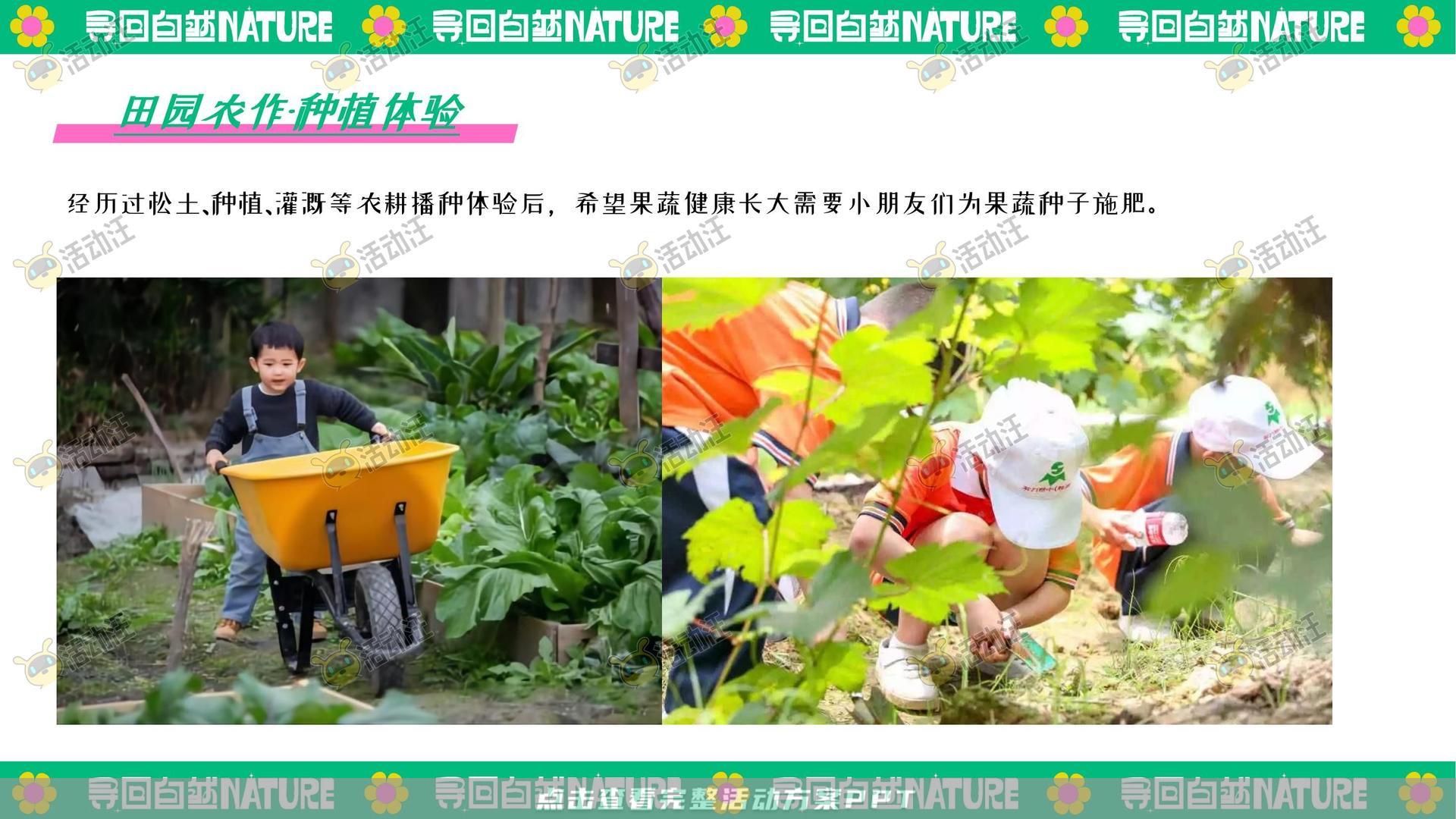生活节活动策划方案