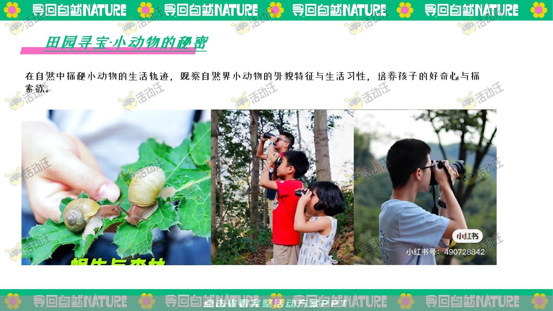 生活节活动策划方案
