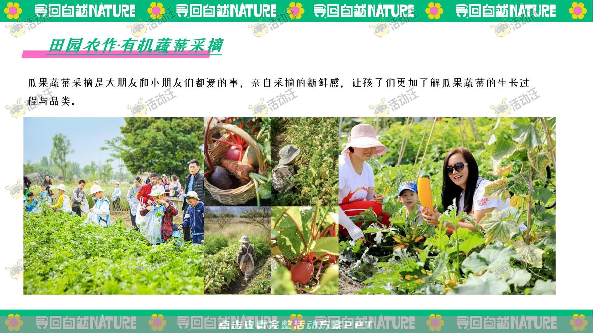 生活节活动策划方案