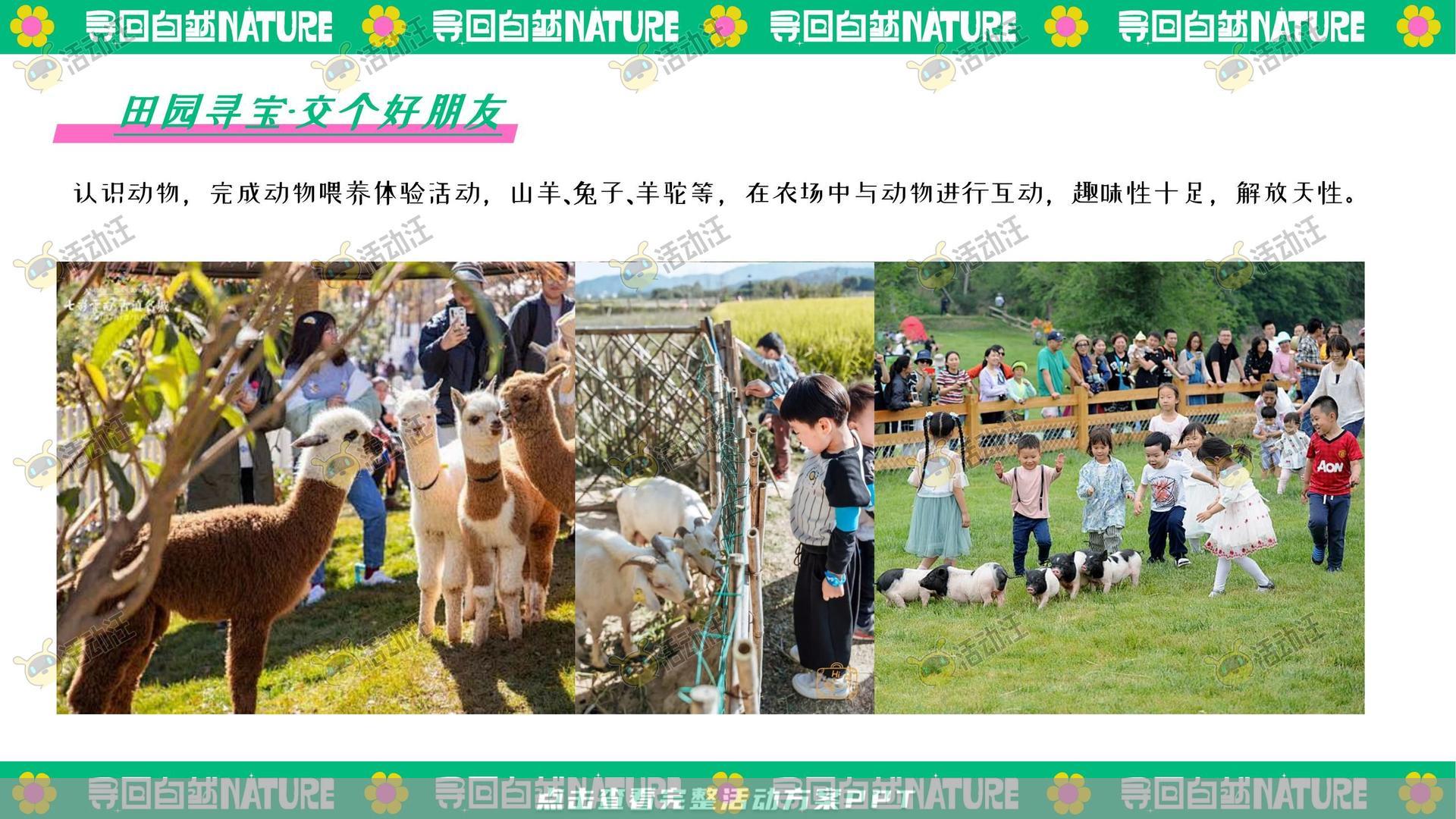 生活节活动策划方案