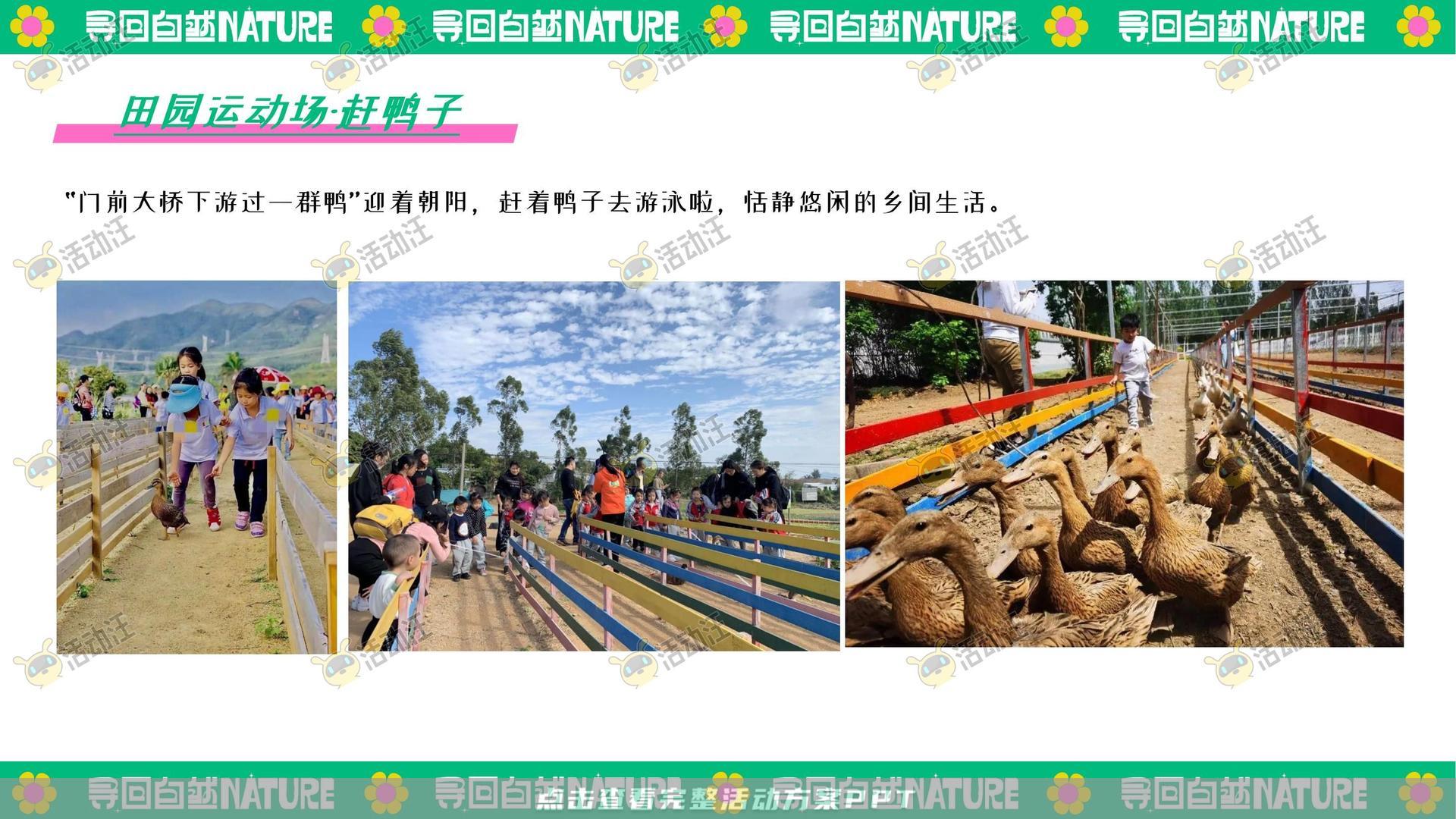 生活节活动策划方案