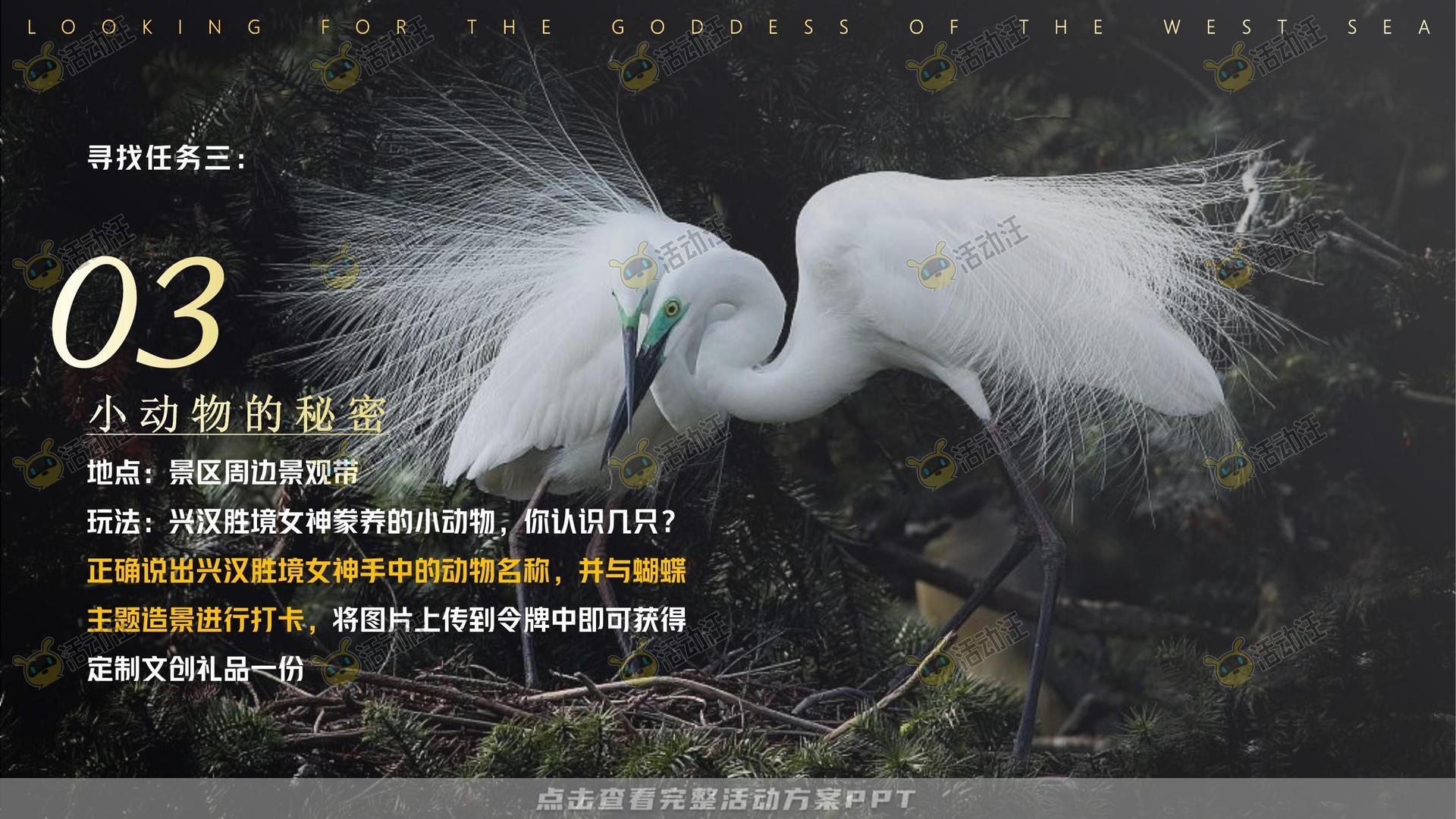 艺术节活动策划方案