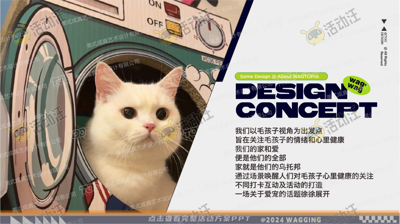 宠物IP——摇摆乌托邦