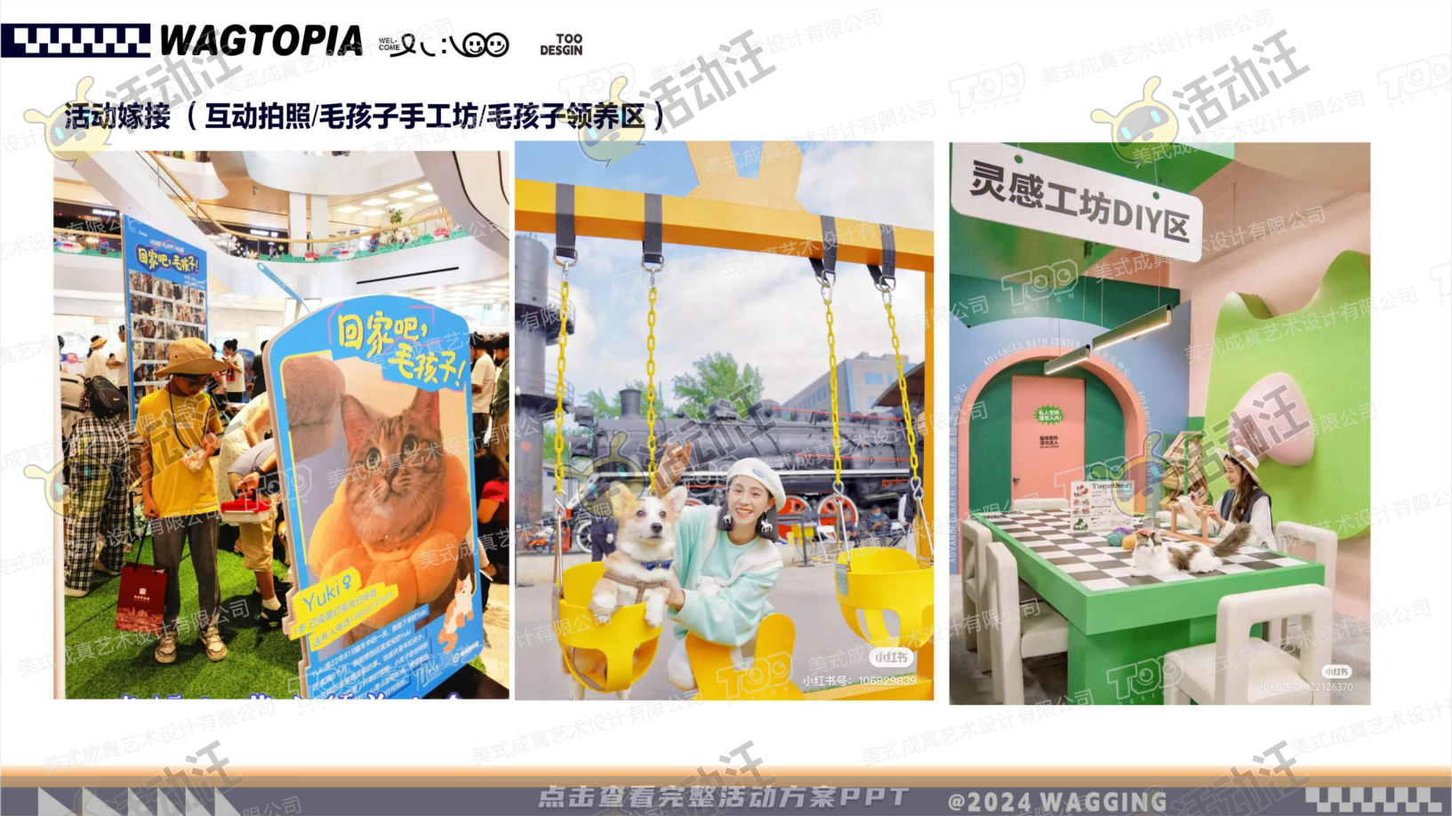 宠物IP——摇摆乌托邦