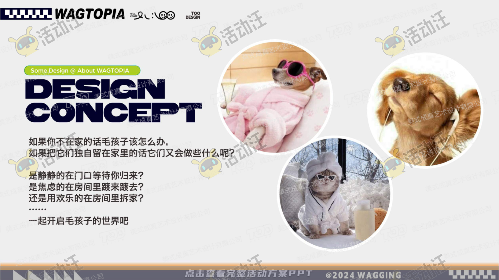 宠物IP——摇摆乌托邦