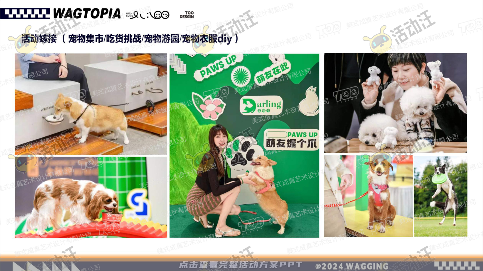 宠物IP——摇摆乌托邦