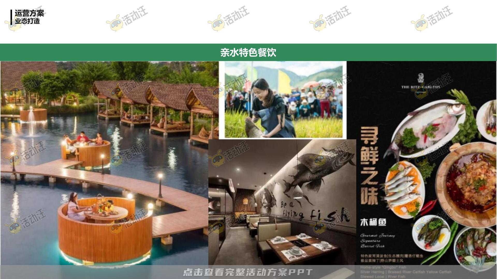 活动策划方案