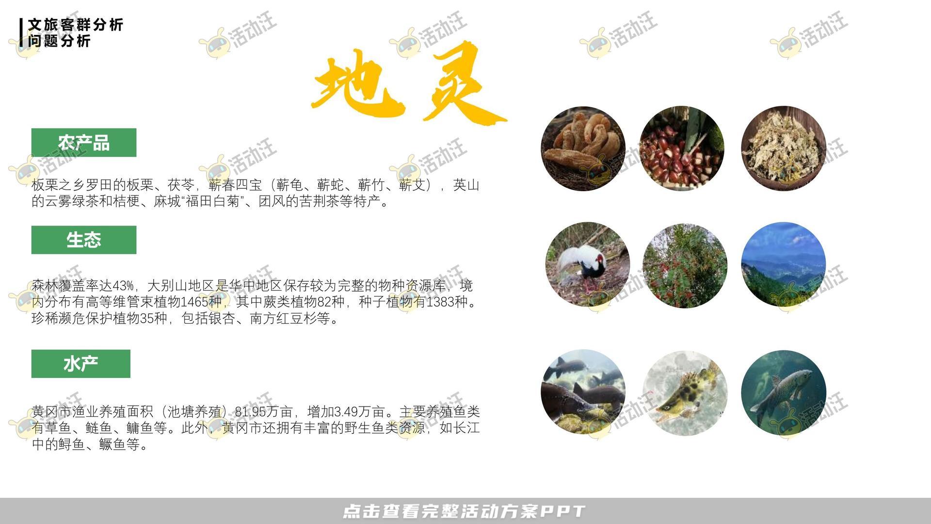 活动策划方案