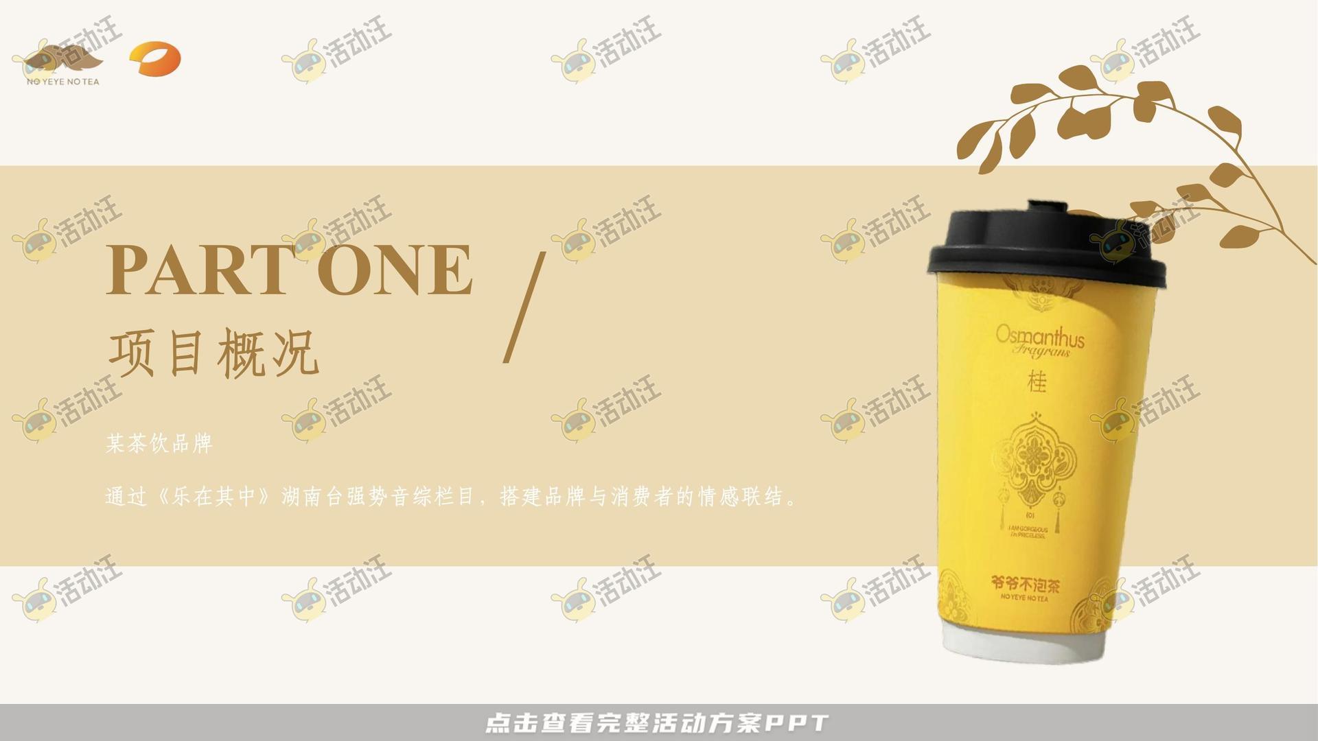 消费品结案报告