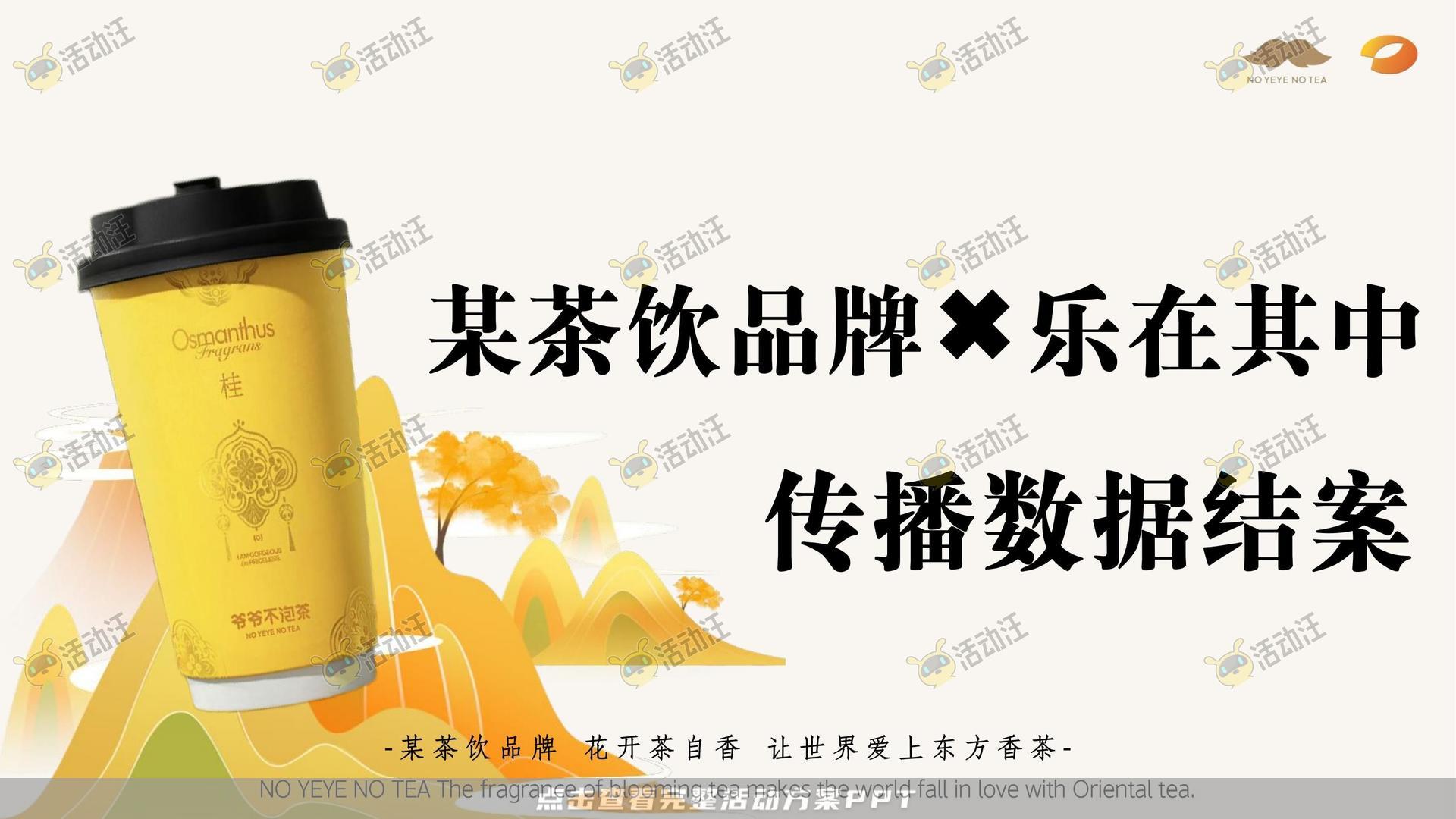 消费品结案报告