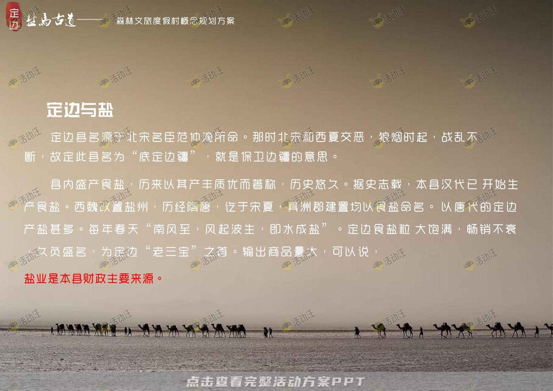 品牌营销方案