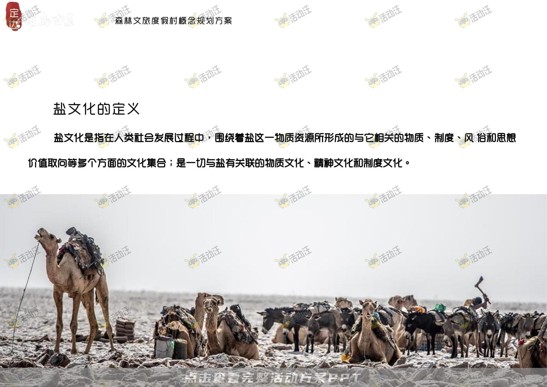 品牌营销方案