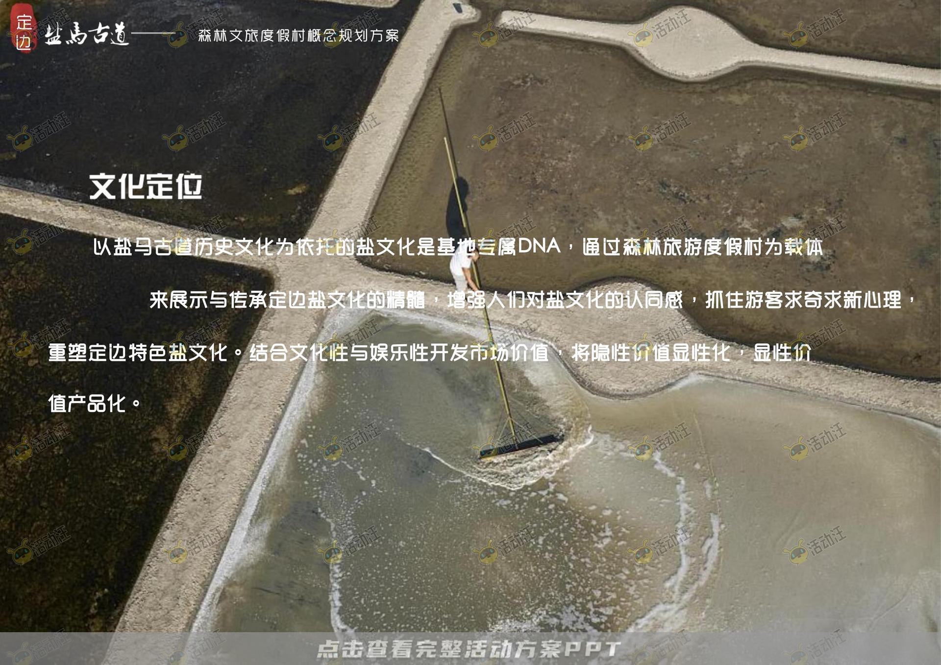 品牌营销方案
