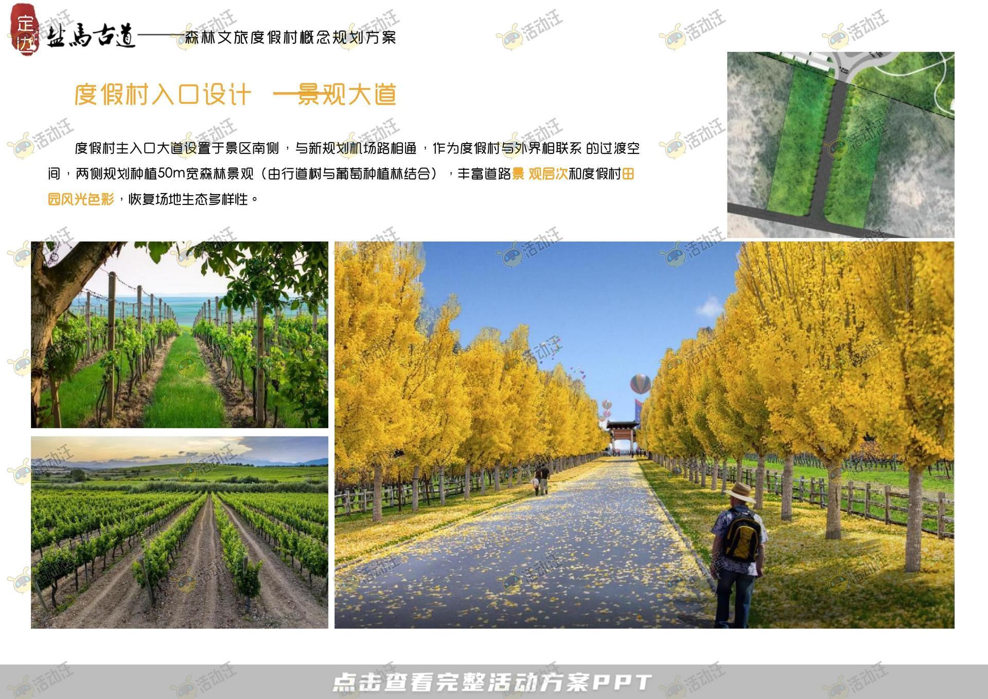 品牌营销方案