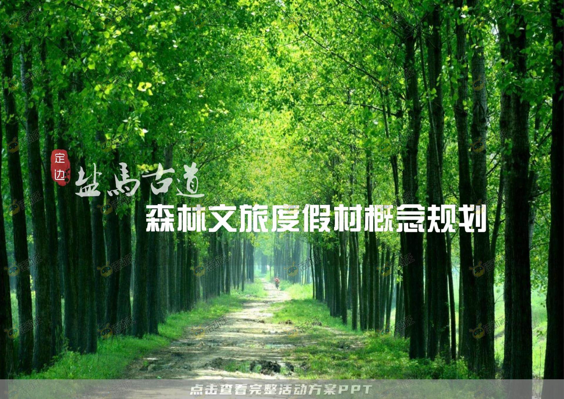 品牌营销方案