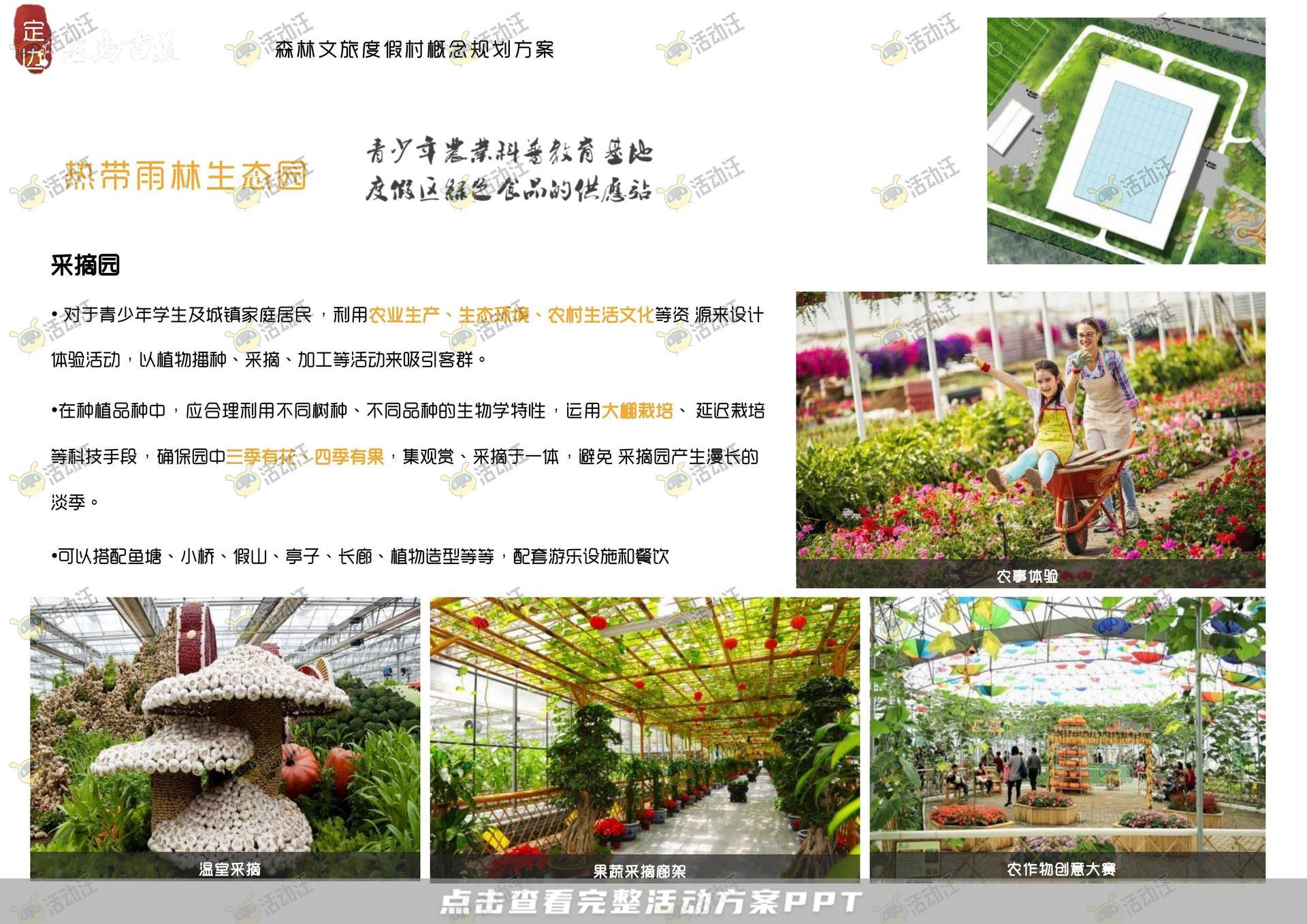 品牌营销方案