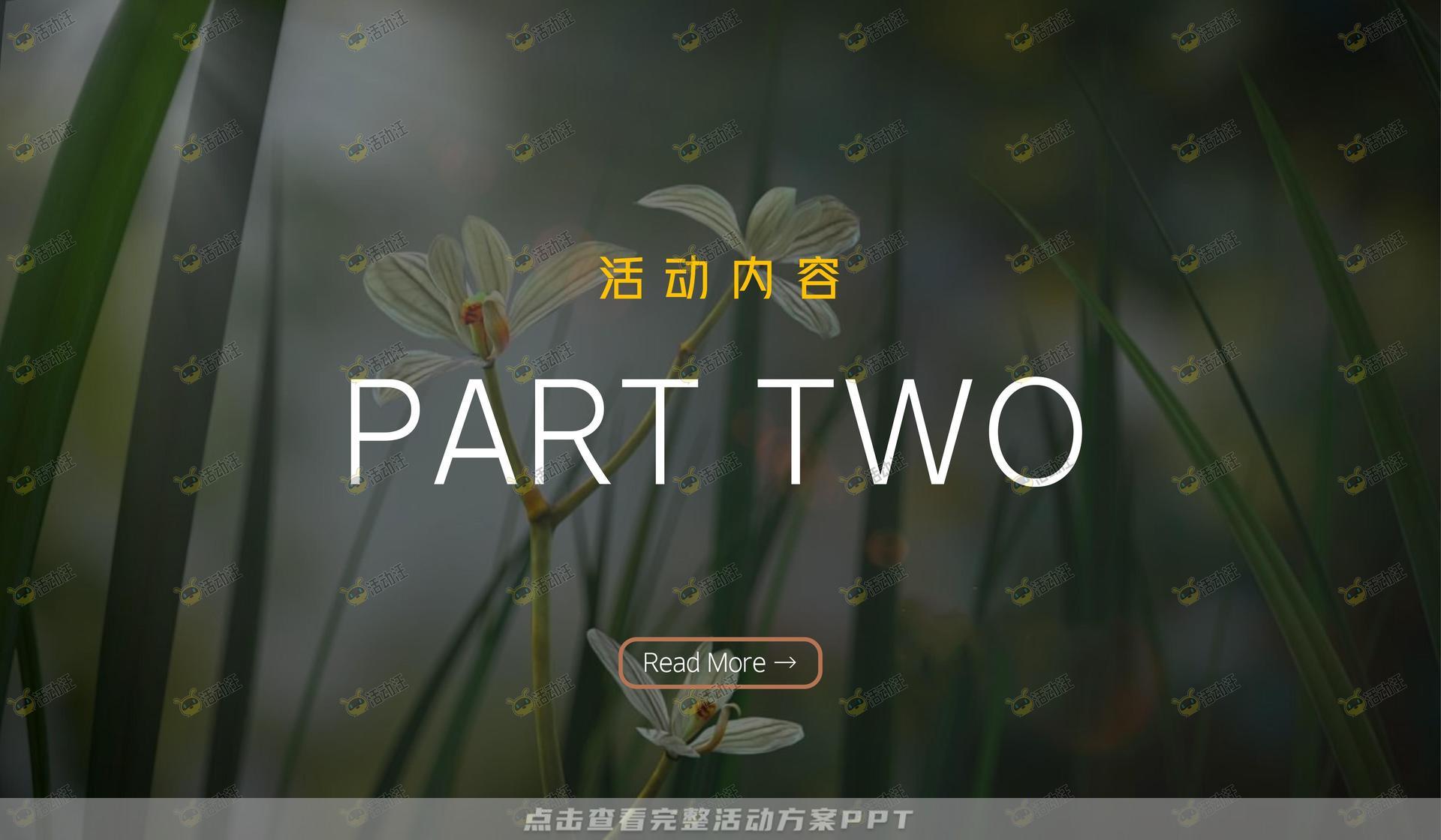 文化节活动策划方案