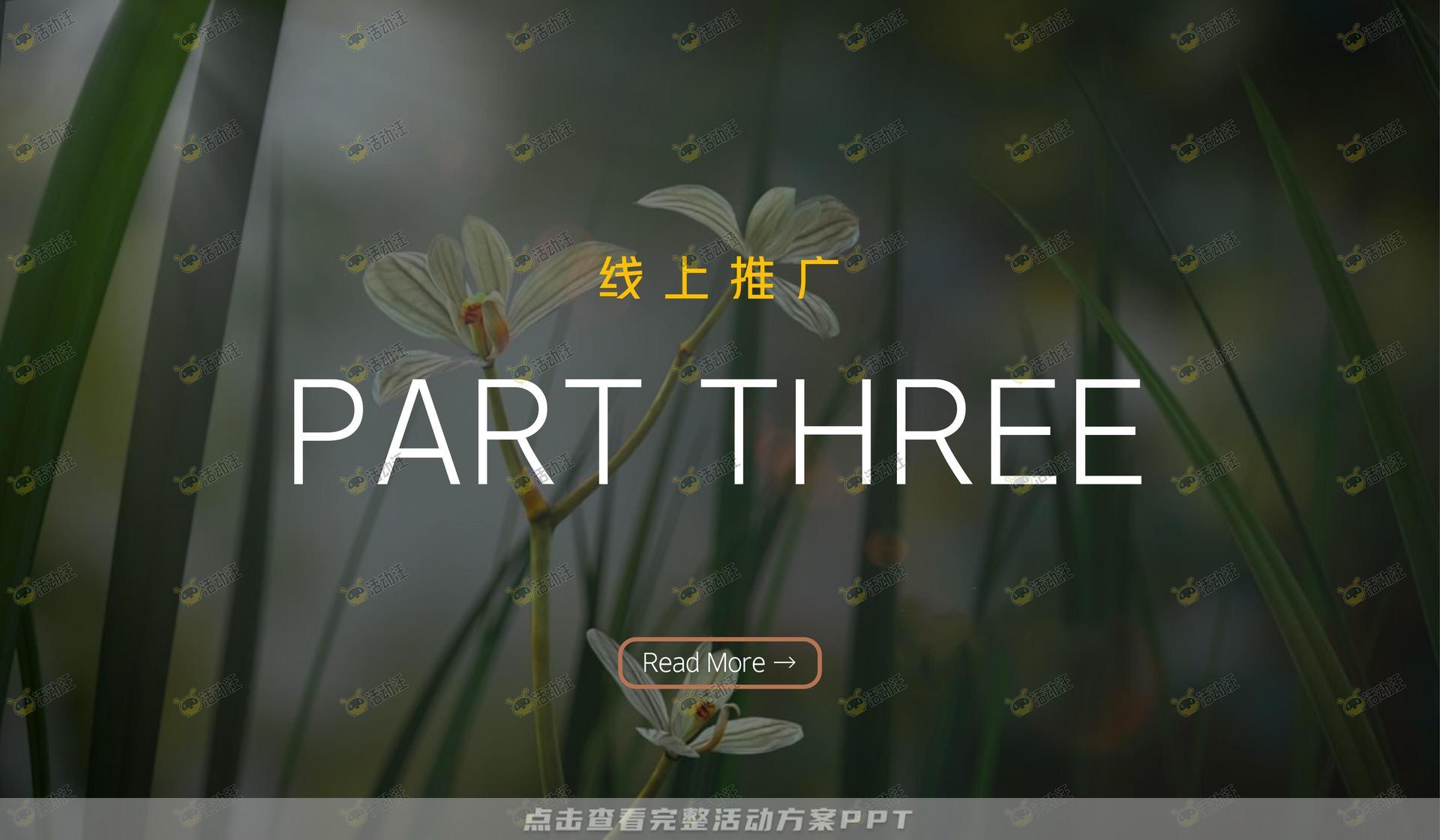文化节活动策划方案