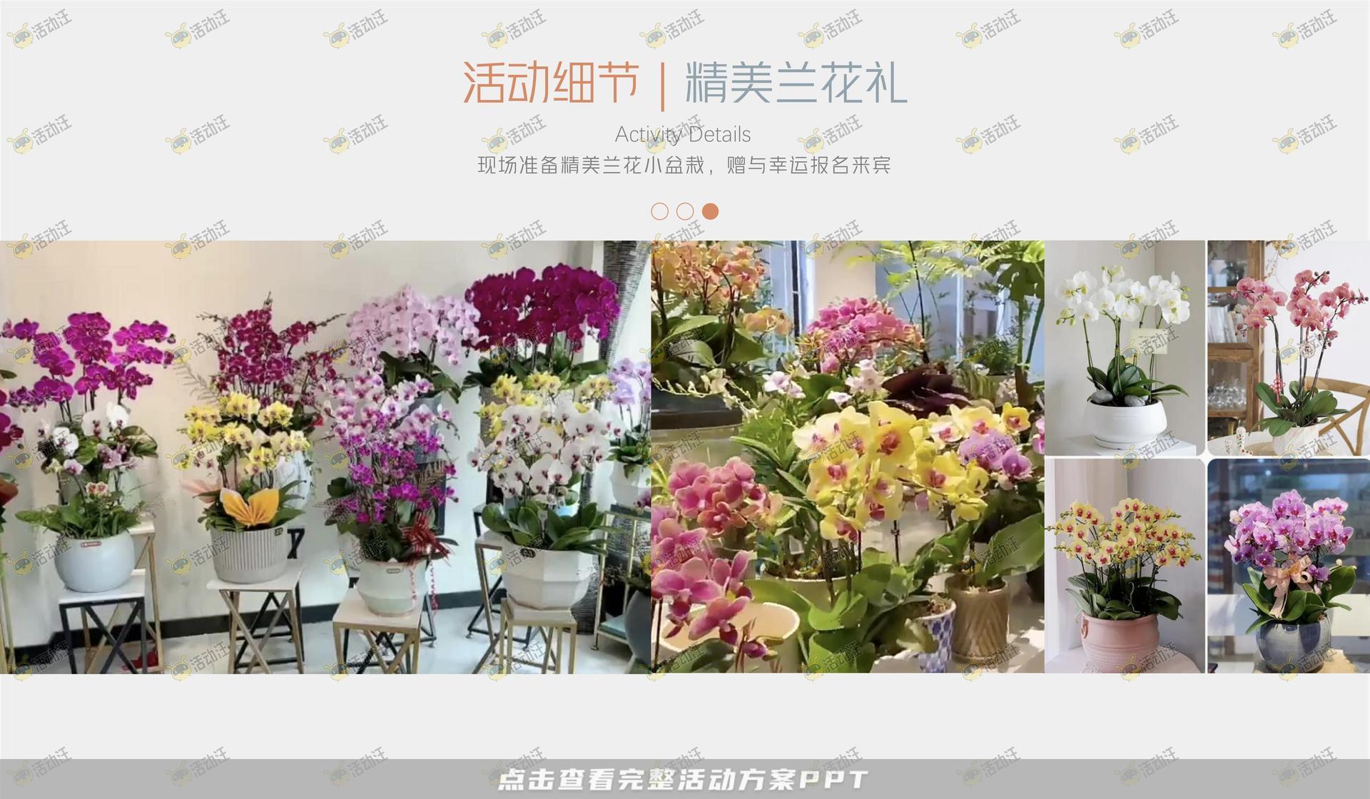 文化节活动策划方案