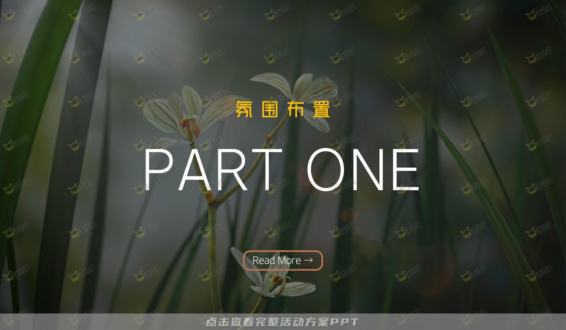 文化节活动策划方案