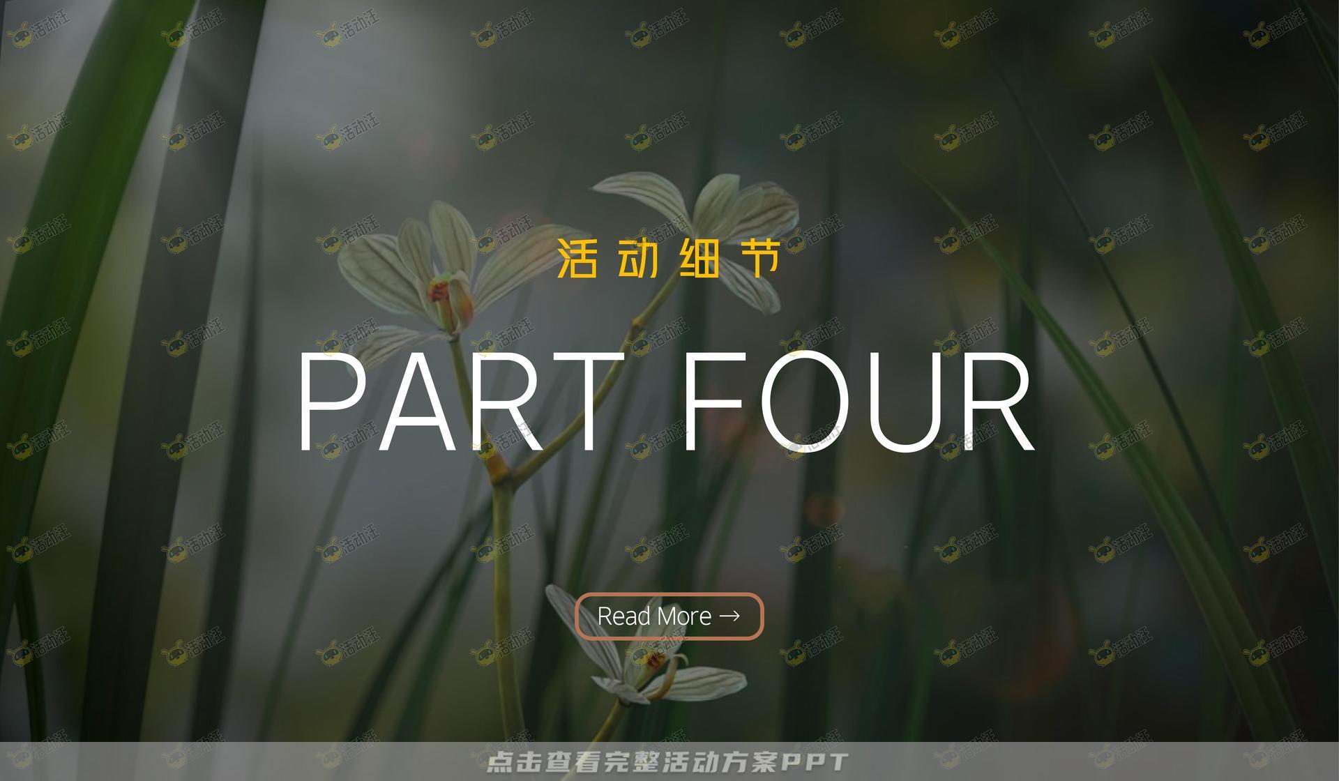 文化节活动策划方案