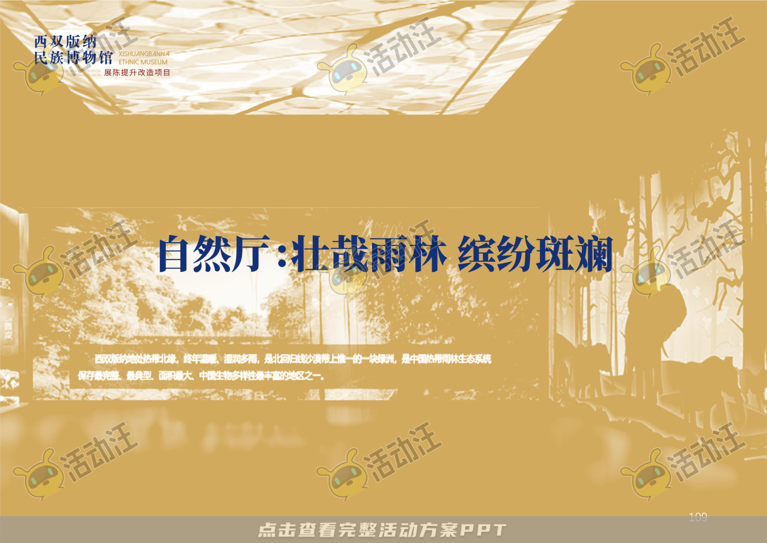 展馆设计方案，西双版傣族博物馆