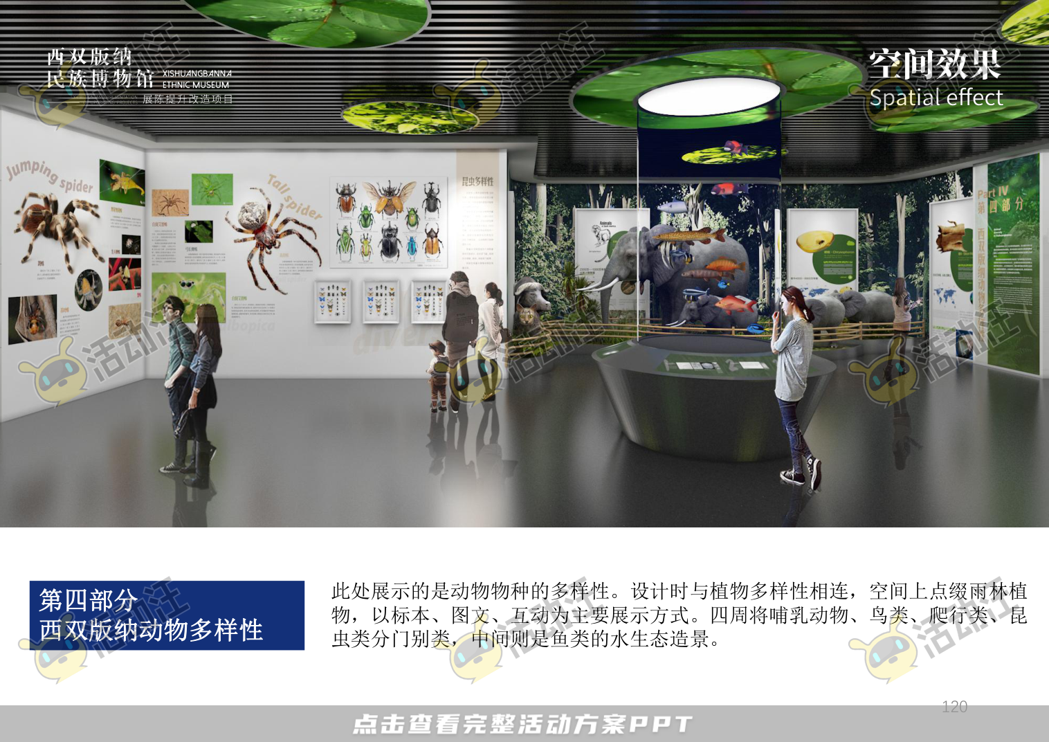 展馆设计方案，西双版傣族博物馆