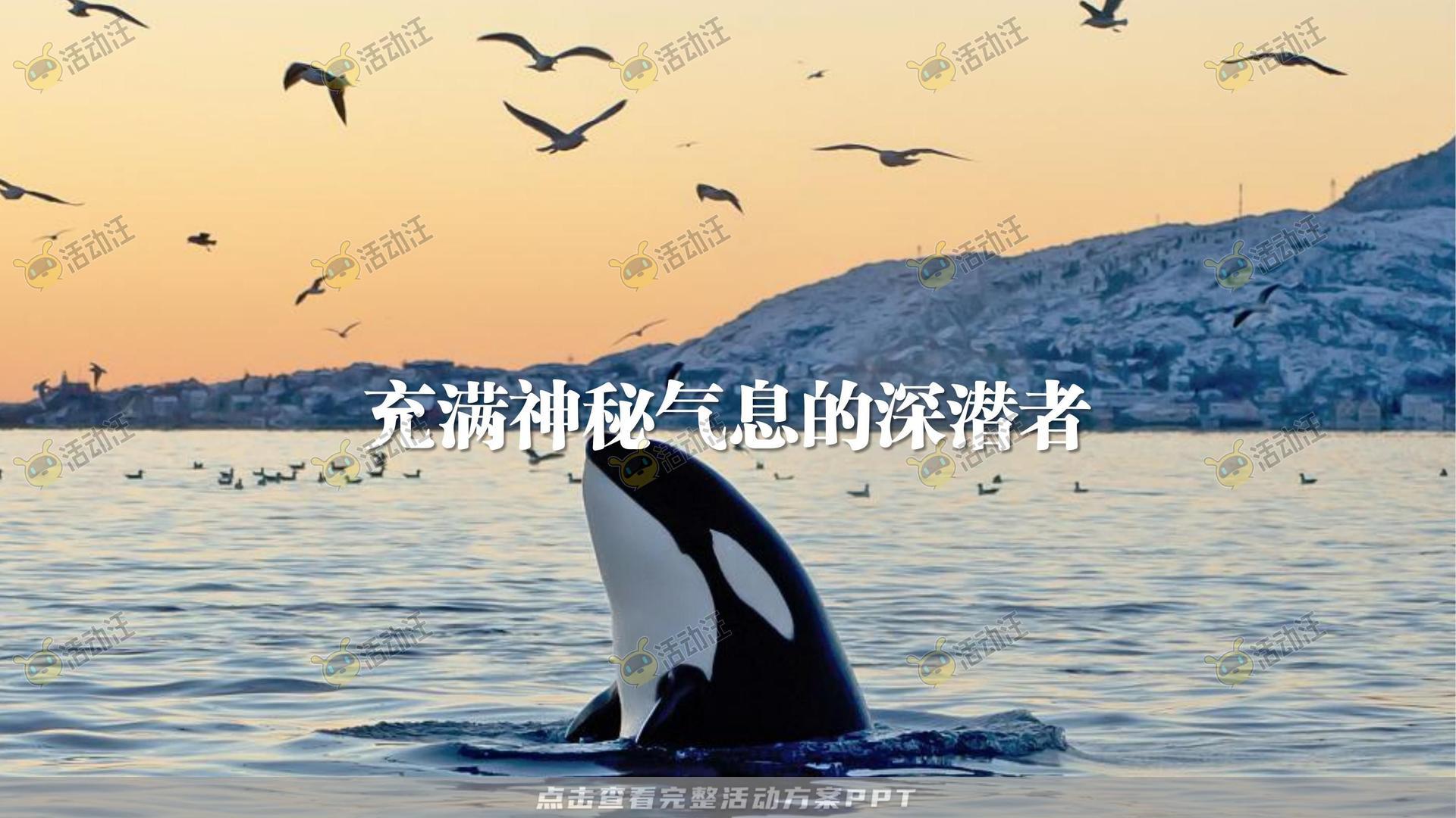 渔人湾码头商业广场美陈设计方案