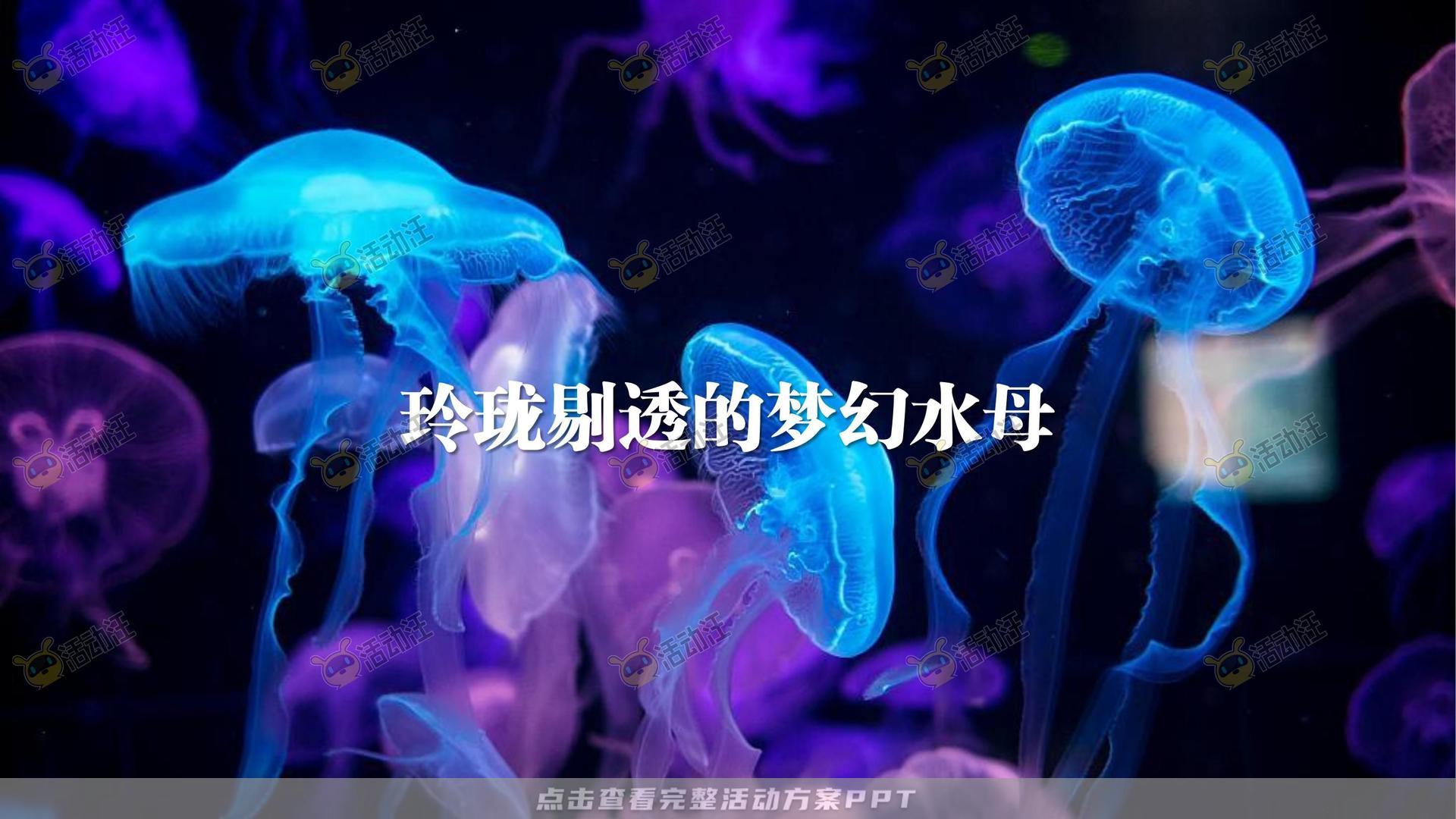 渔人湾码头商业广场美陈设计方案