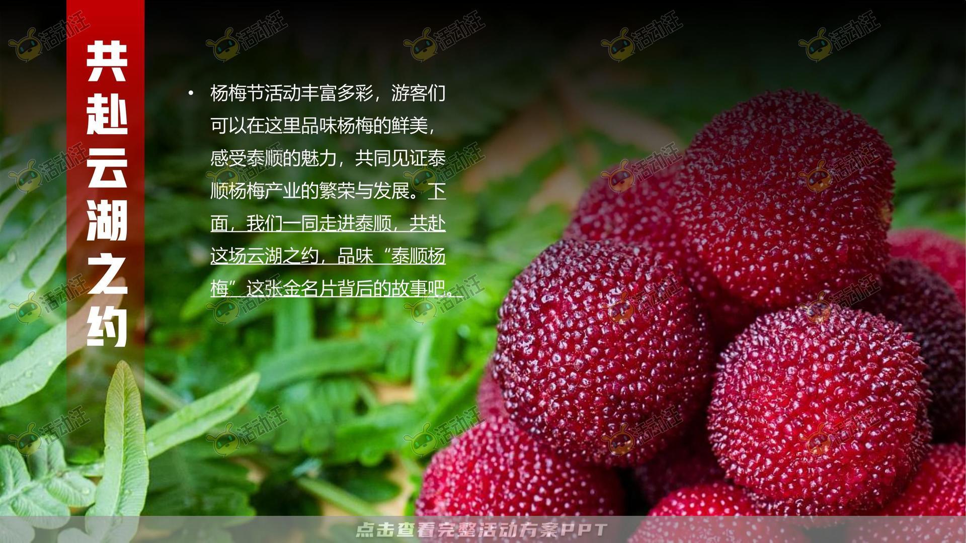文化节活动策划方案