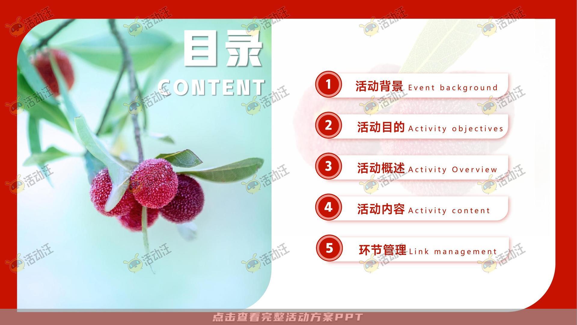 文化节活动策划方案