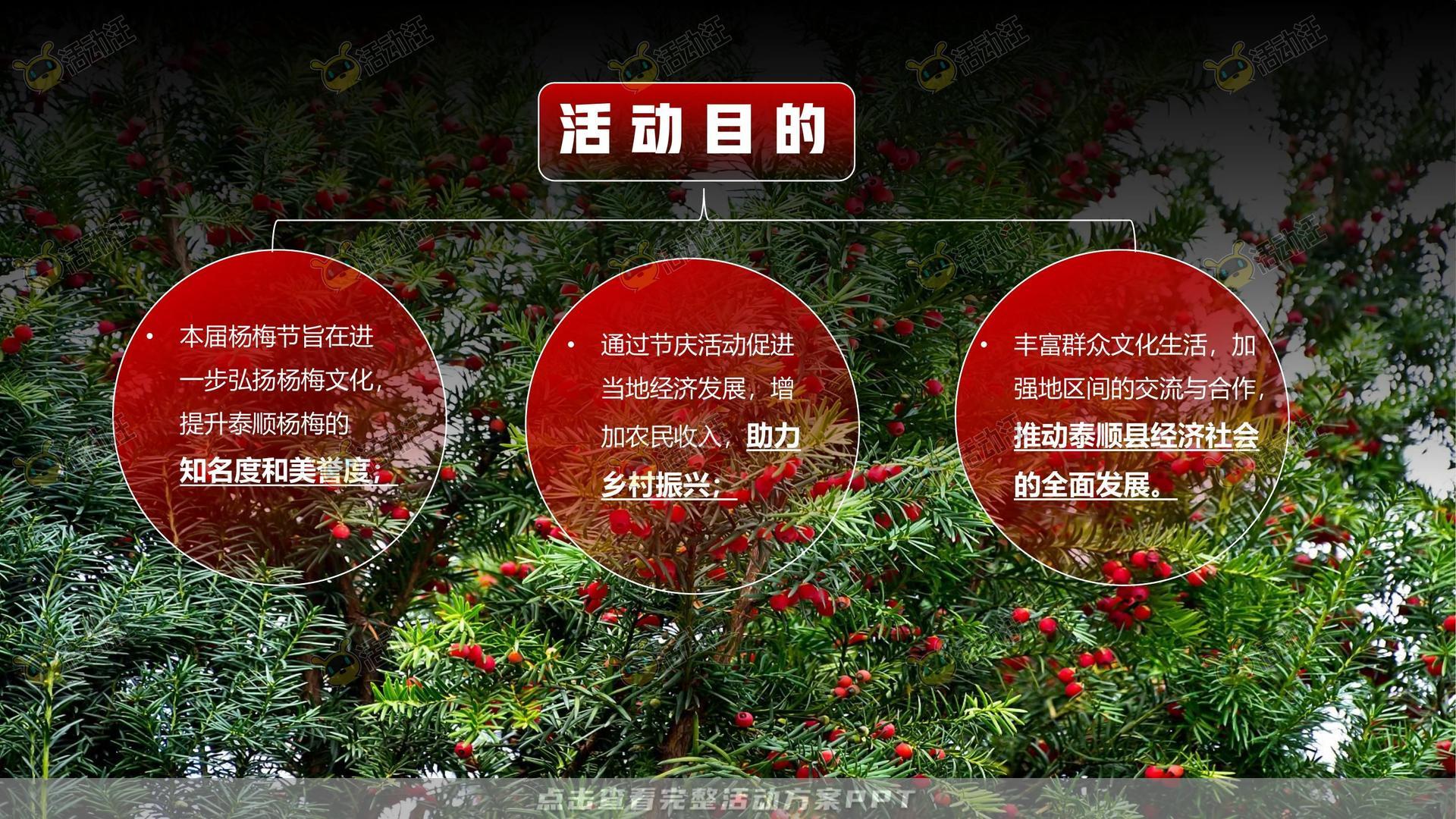 文化节活动策划方案