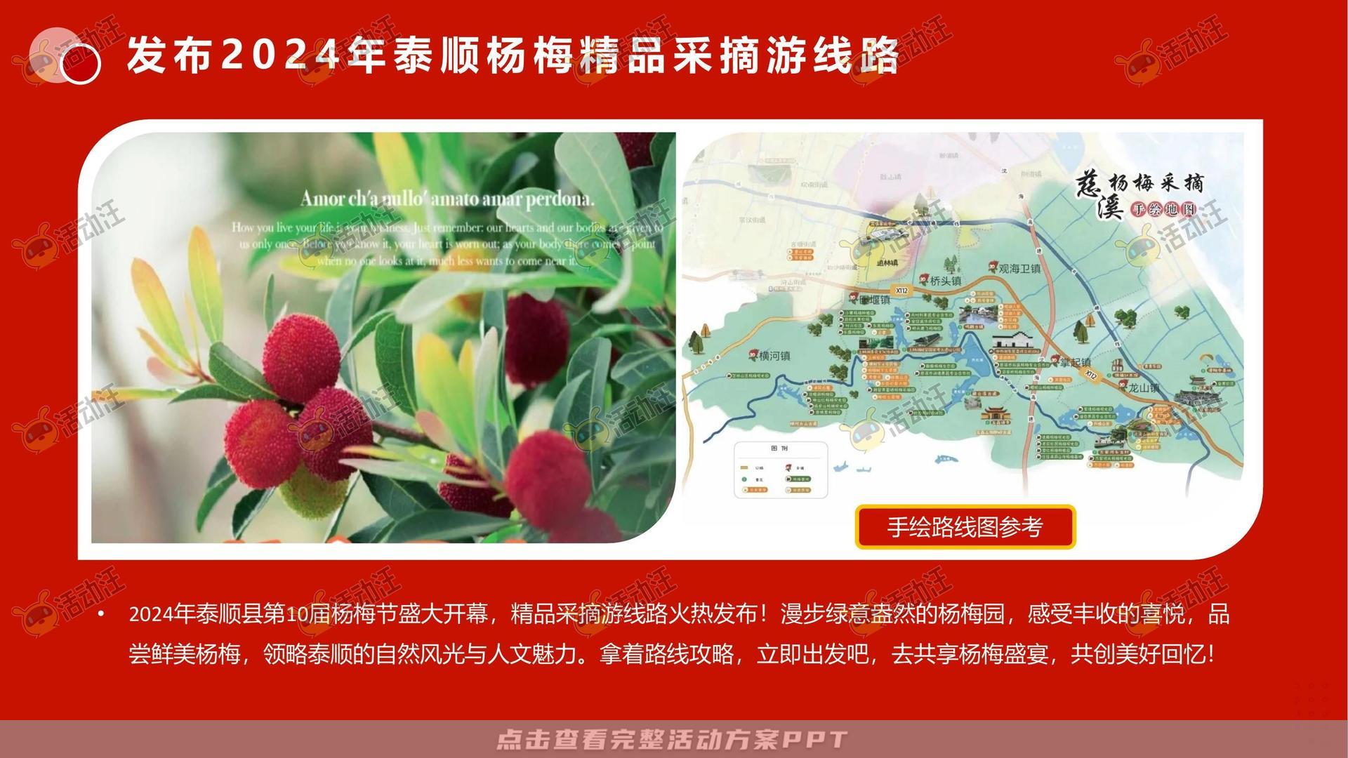 文化节活动策划方案