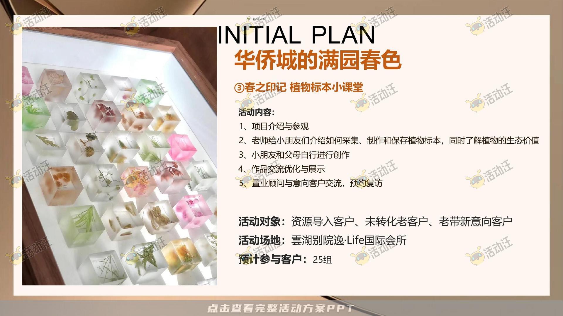 生活节活动策划方案