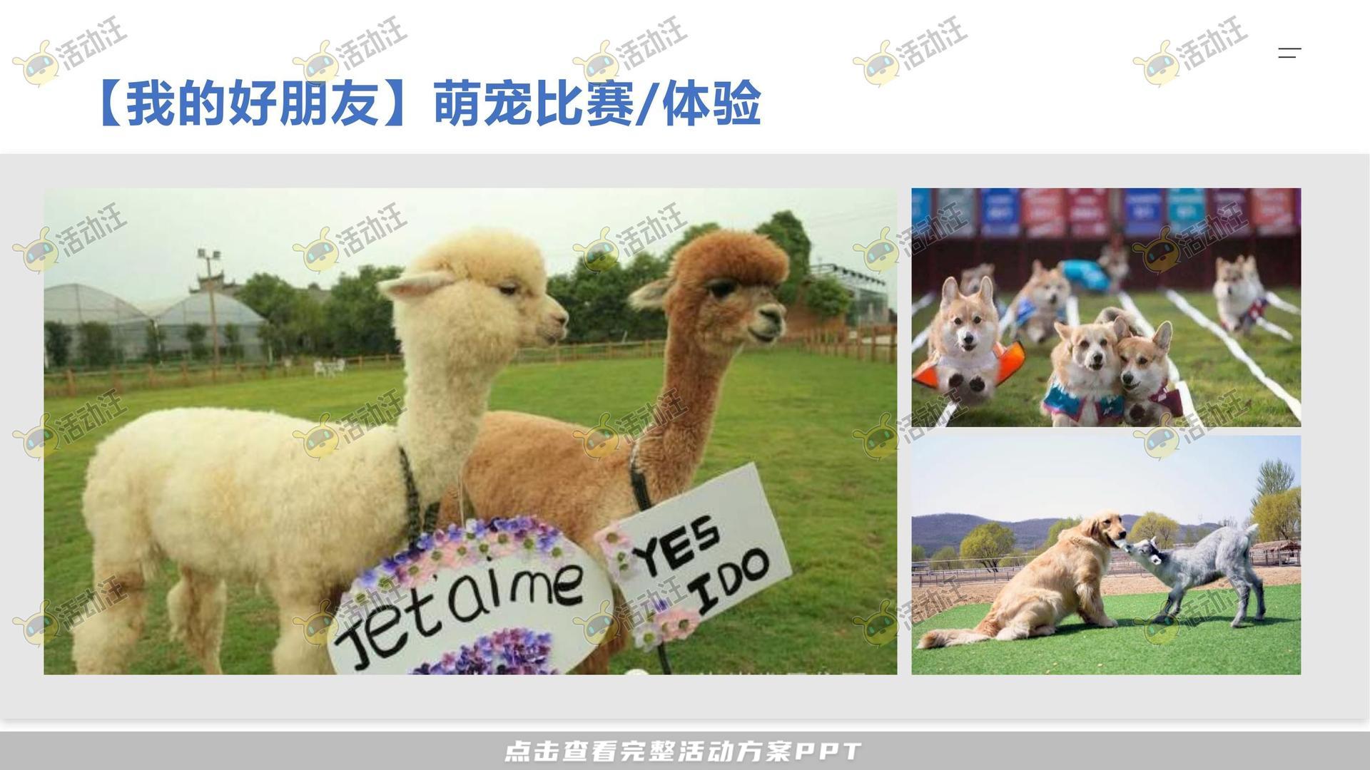 嘉年华活动策划方案